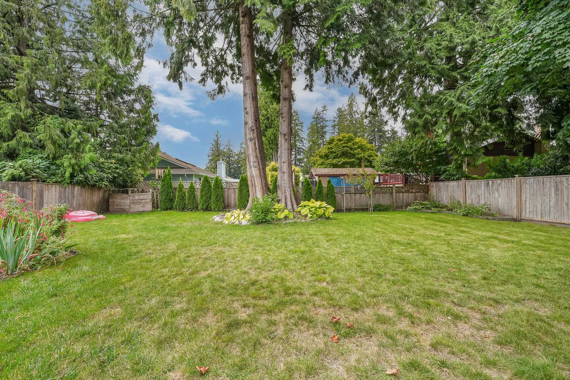 11675 Graves Street, Maple Ridge